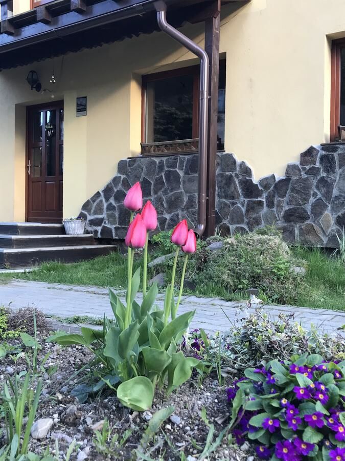 Гостевой дом Pension Tofalvi Харгита-Бэй-32